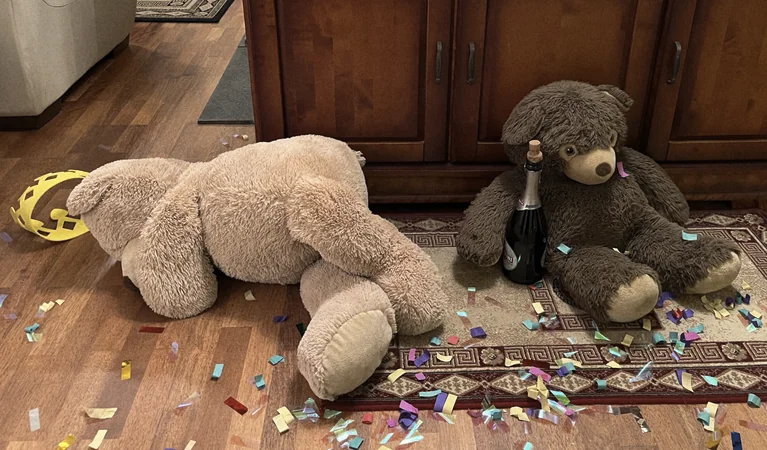 Two stuffed bears surrounded by confetti. One is sitting slouched with an arm around a champagne bottle. The other has fallen over to the side, as if very drunk, and their crown has fallen off their head.